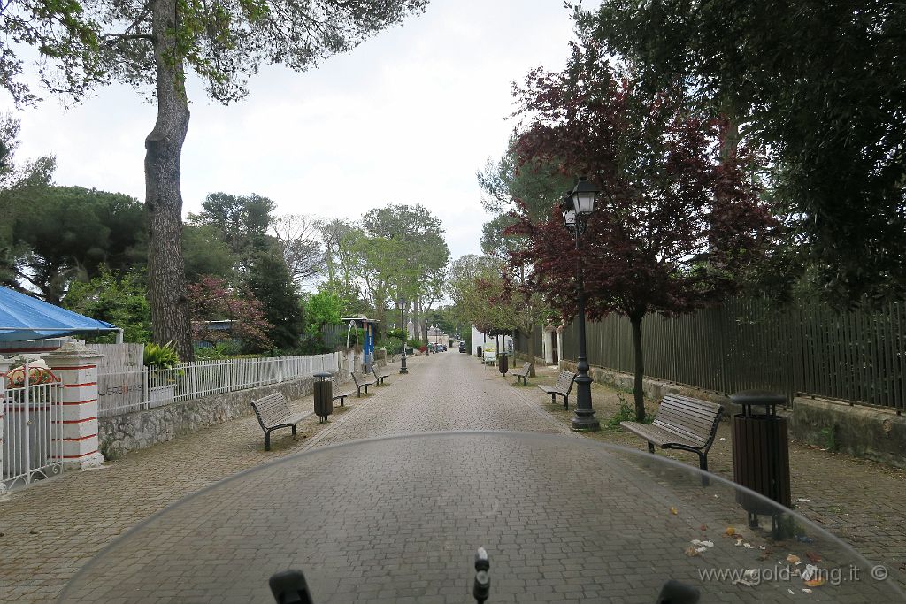 IMG_0033.JPG - Selva di Fasano, viale Toledo: "sarebbe" a traffico limitato, ma in fondo c'è un parcheggio di moto