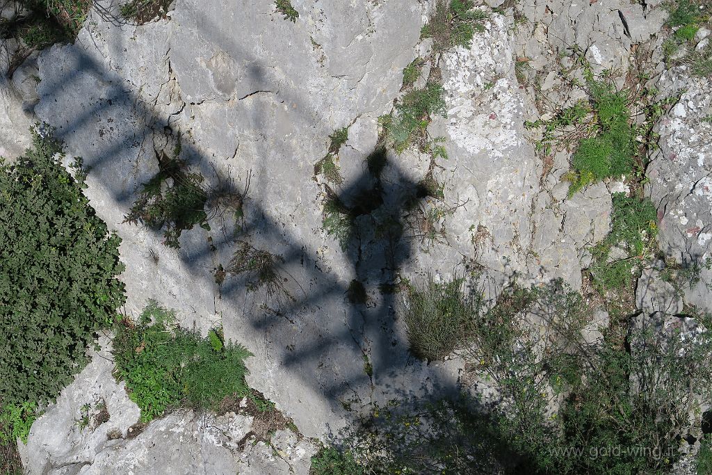 IMG_0122.JPG - Laviano (SA): l'ombra del ponte tibetano... con me sopra
