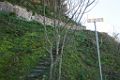 IMG_0061