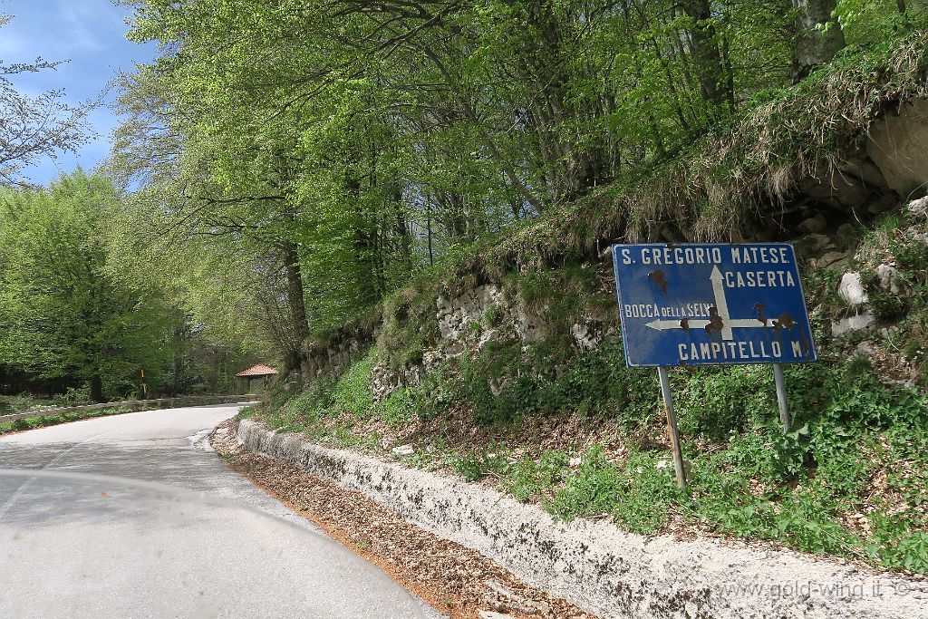 IMG_0064.JPG - Tra Guardiaregia (CB) e la Sella del Perrone (m 1.257)