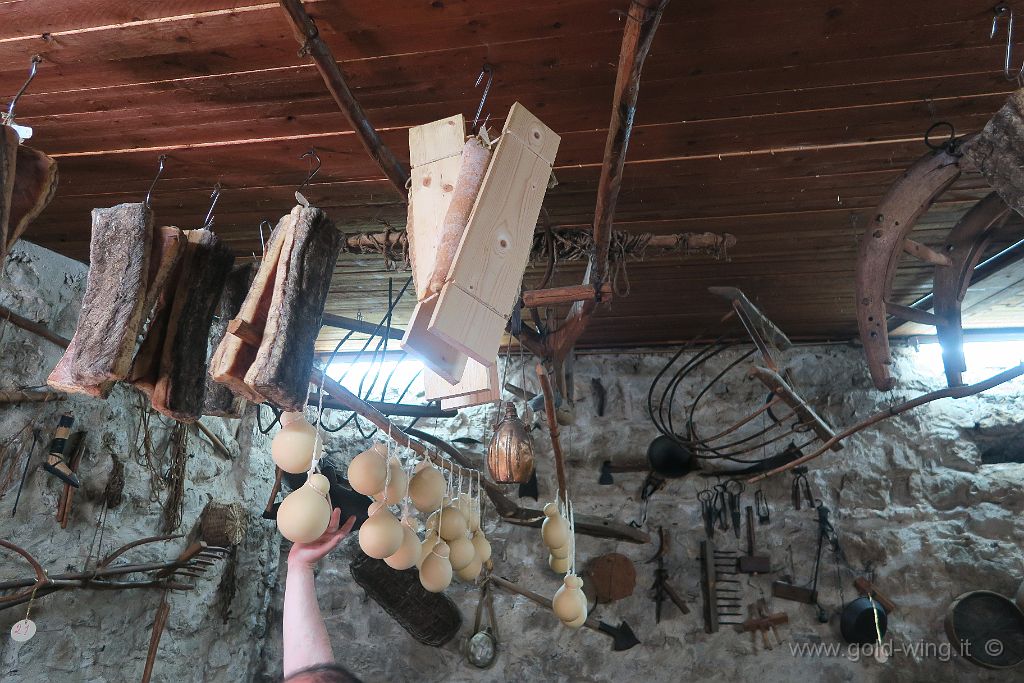 IMG_0164.JPG - Agriturismo "Le Fossate" (CE)