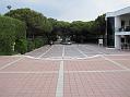 IMG_0018
