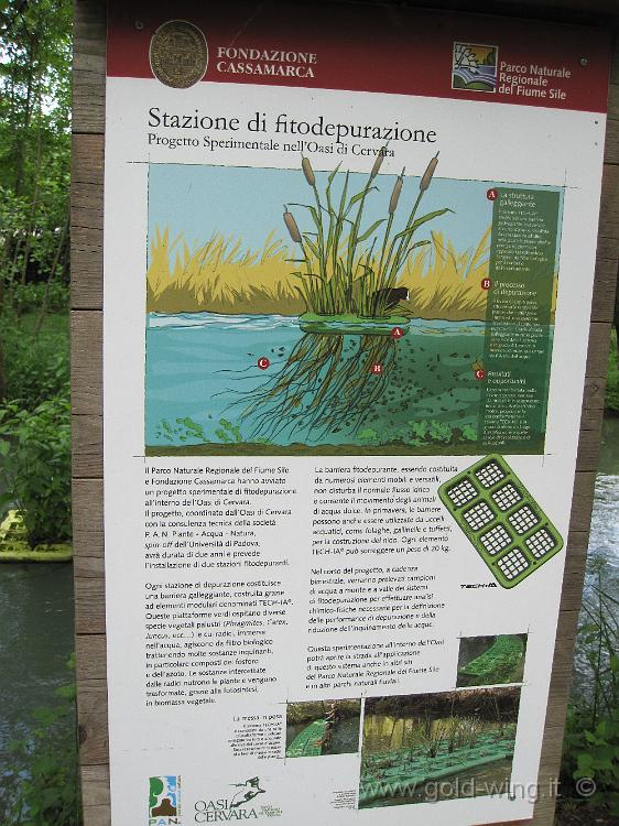 IMG_0330.JPG - Oasi Naturalistica di Cervara (Quinto di Treviso)