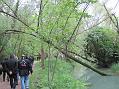IMG_0335