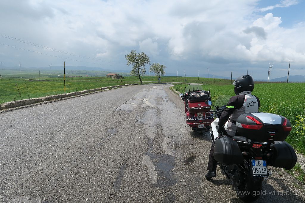 IMG_0009.JPG - Tra Bisaccia e Guardia Lombardi (AV), quota m 940