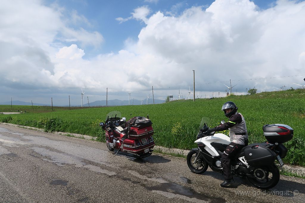 IMG_0012.JPG - Tra Bisaccia e Guardia Lombardi (AV), quota m 940