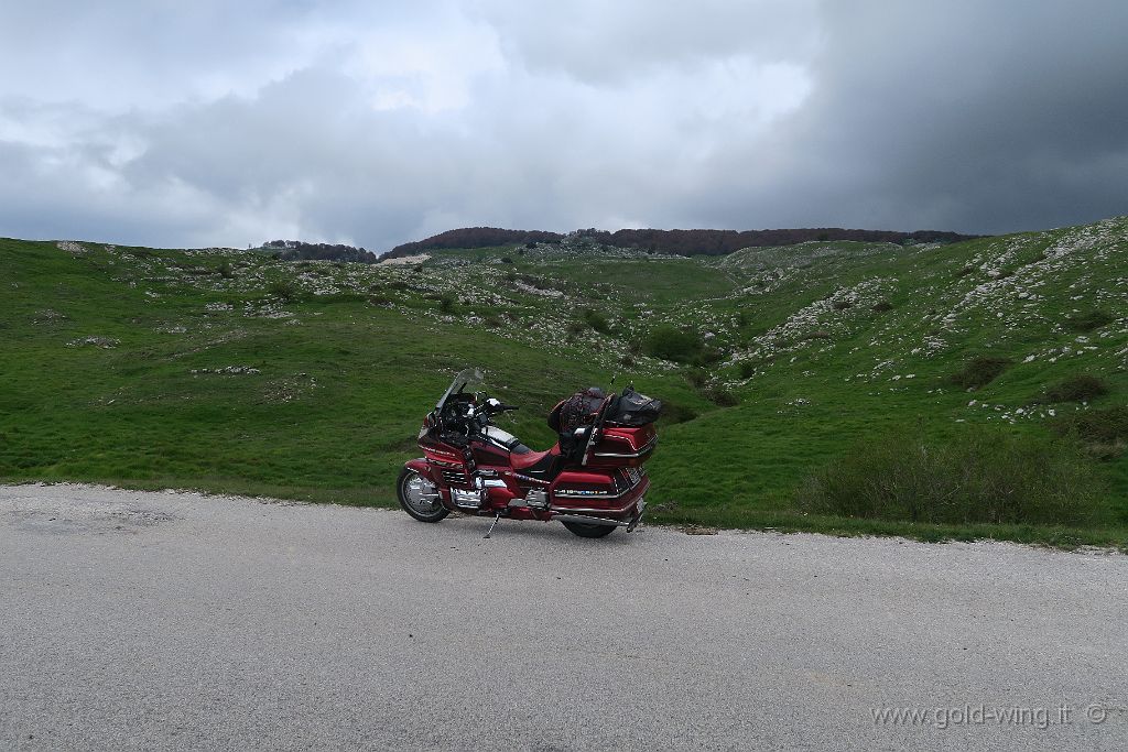 IMG_0023.JPG - Tra Morcone e Pietraroja (BN), quota m 1.140