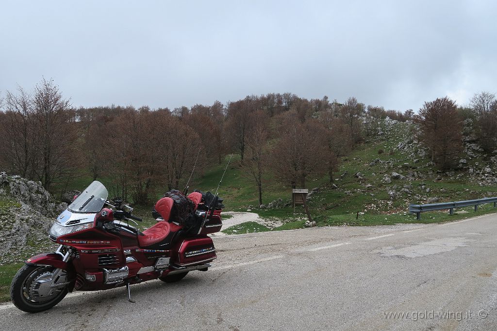 IMG_0036.JPG - Valico a sud di Campitello Matese (CE-CB), salita a m 1.480