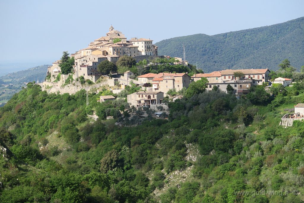 IMG_0337.JPG - Cottanello (RI)