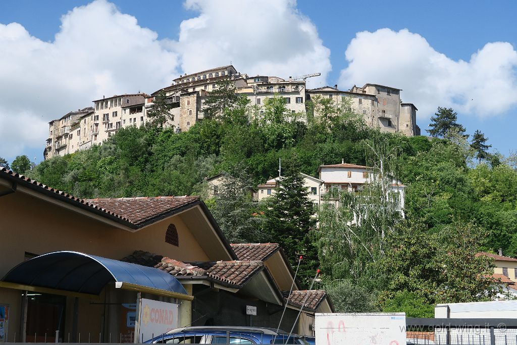 IMG_0370.JPG - Contigliano (RI)