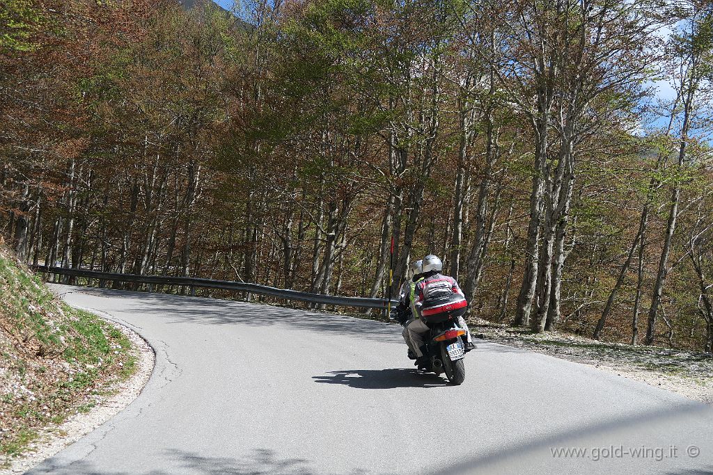 IMG_0420.JPG - Salita al Terminillo: tra Pian de' Valli e il rifugio Sebastiani