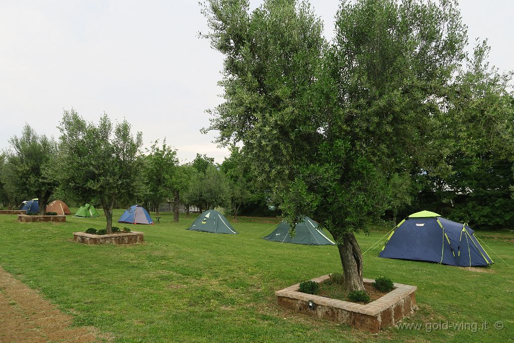 IMG_0757.JPG - Borgo Noci Querceto (RI): le nostre tende