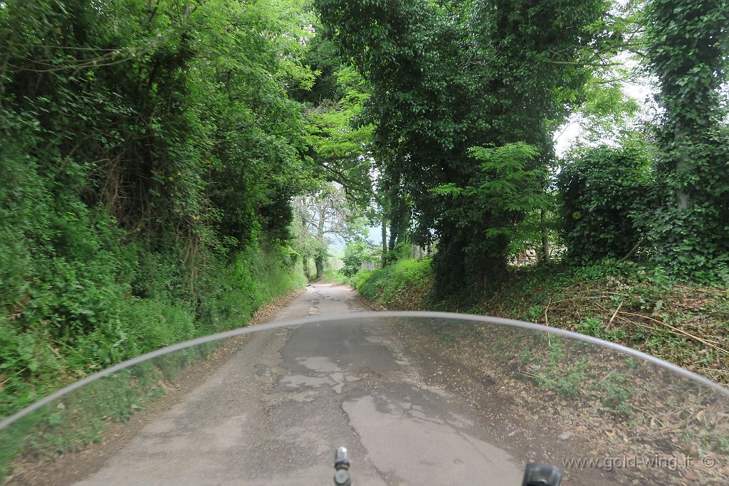 IMG_0785.JPG - Tra Tarano e Cottanello (RI)