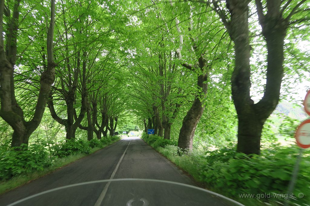 IMG_0790.JPG - Tra Tarano e Cottanello (RI)