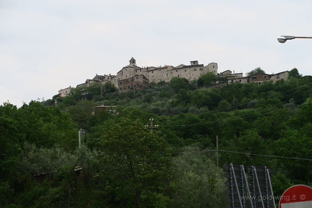 IMG_0792.JPG - Cottanello (RI)