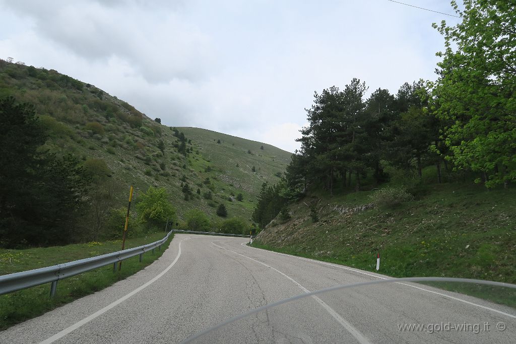IMG_0833.JPG - Salita (da sud) al Passo delle Capannelle (m 1.300)