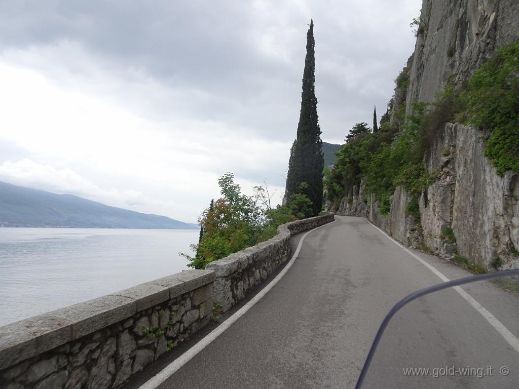 DSC00086.JPG - Lago di Garda (m 65)