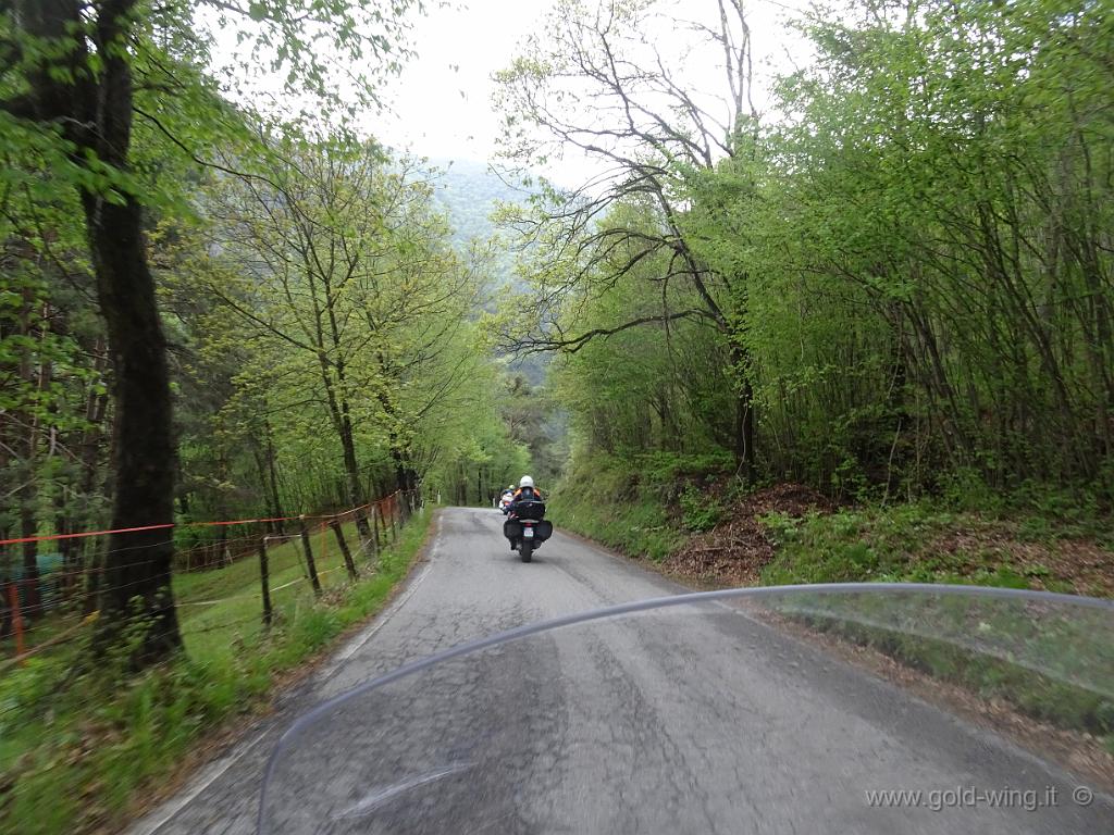 DSC00150.JPG
