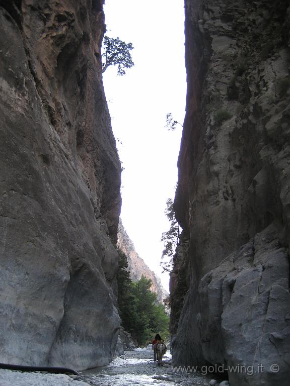 068.JPG - Gole di Samaria