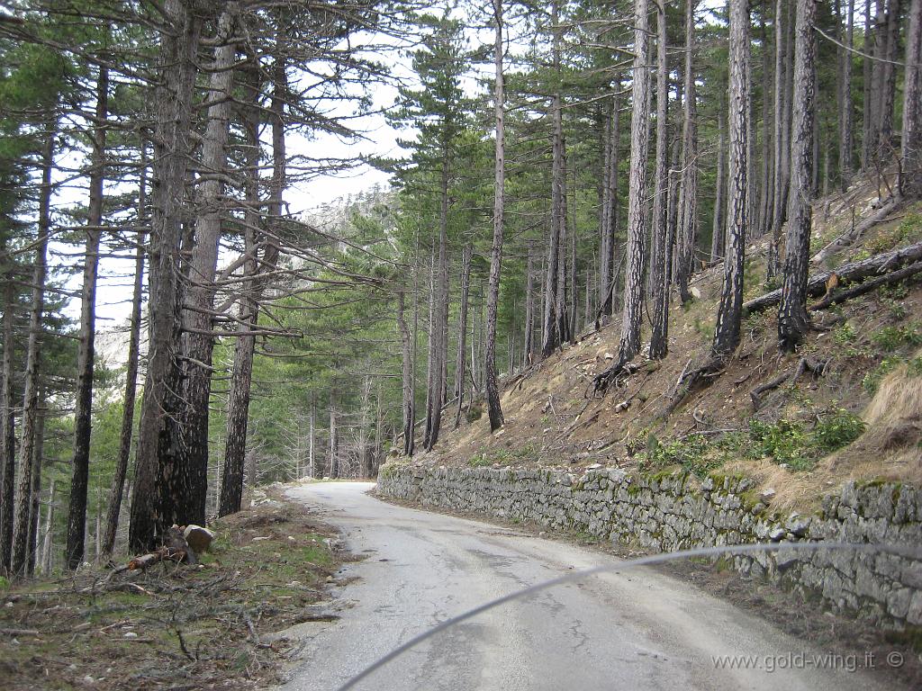 113.JPG - Discesa dal Col de Sorba (m 1.311)