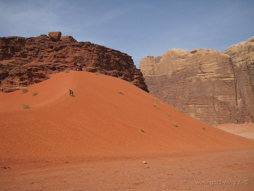 448.JPG - Wadi Rum:le dune di sabbia di Al-Hasany