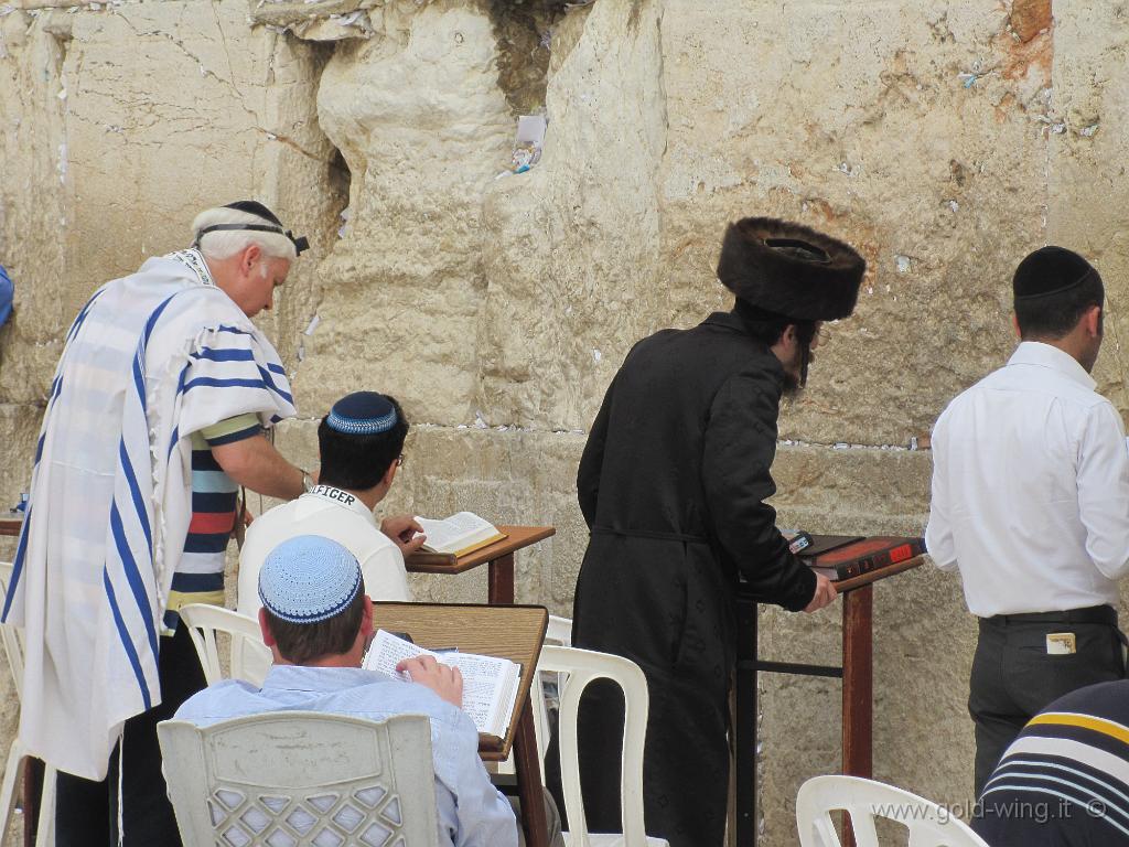 458.JPG - Israele, Gerusalemme: il Muro del Pianto