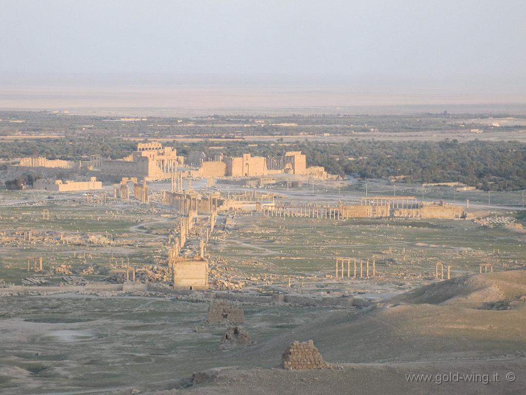 464.JPG - Siria, Palmyra vista dal castello