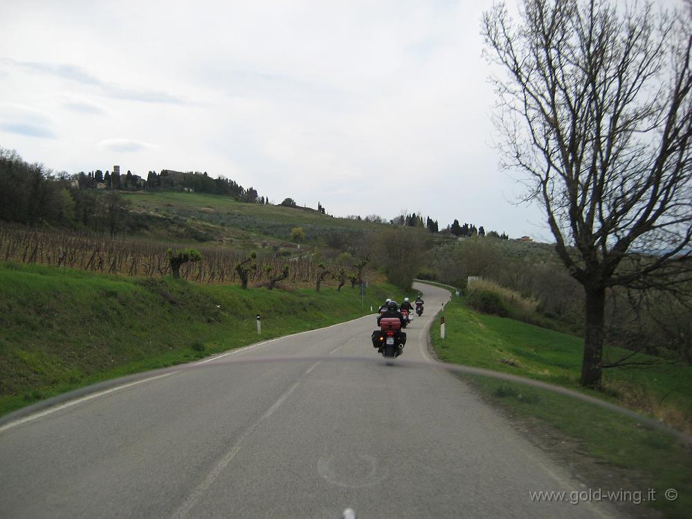 IMG_0014.JPG - Tra Montespertoli e Certaldo