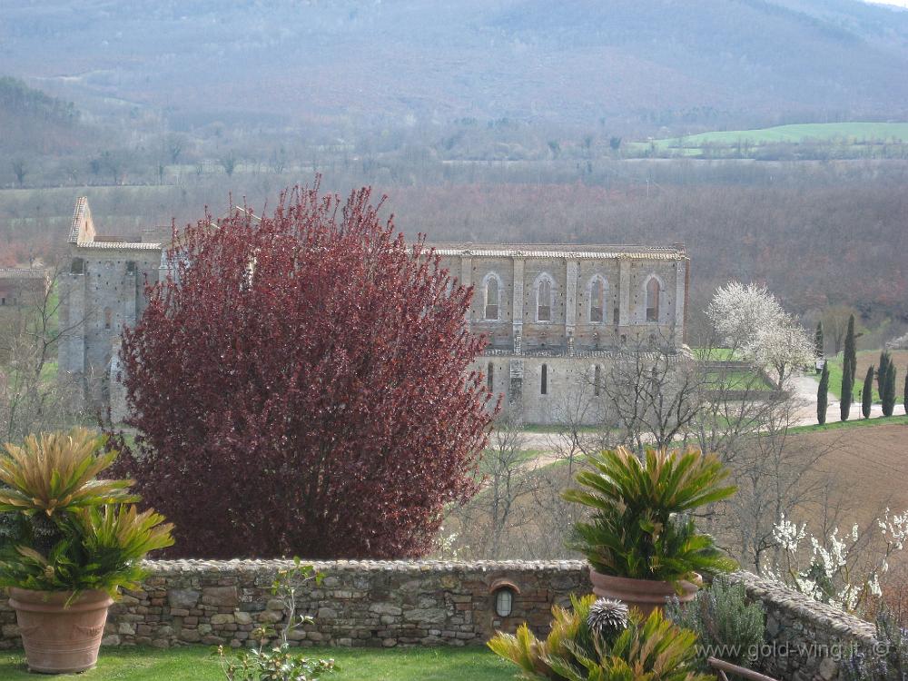 IMG_0066.JPG - L'abbazia di San Galgano, vista dalla cappella di Montesiepi