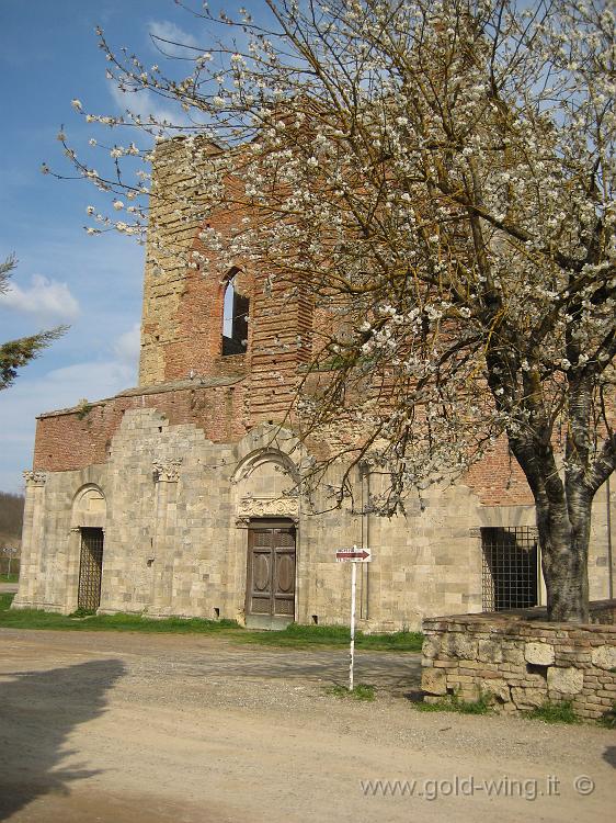 IMG_0069.JPG - Abbazia di San Galgano