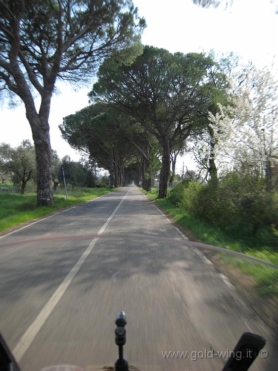IMG_0096.JPG - Presso Sticciano