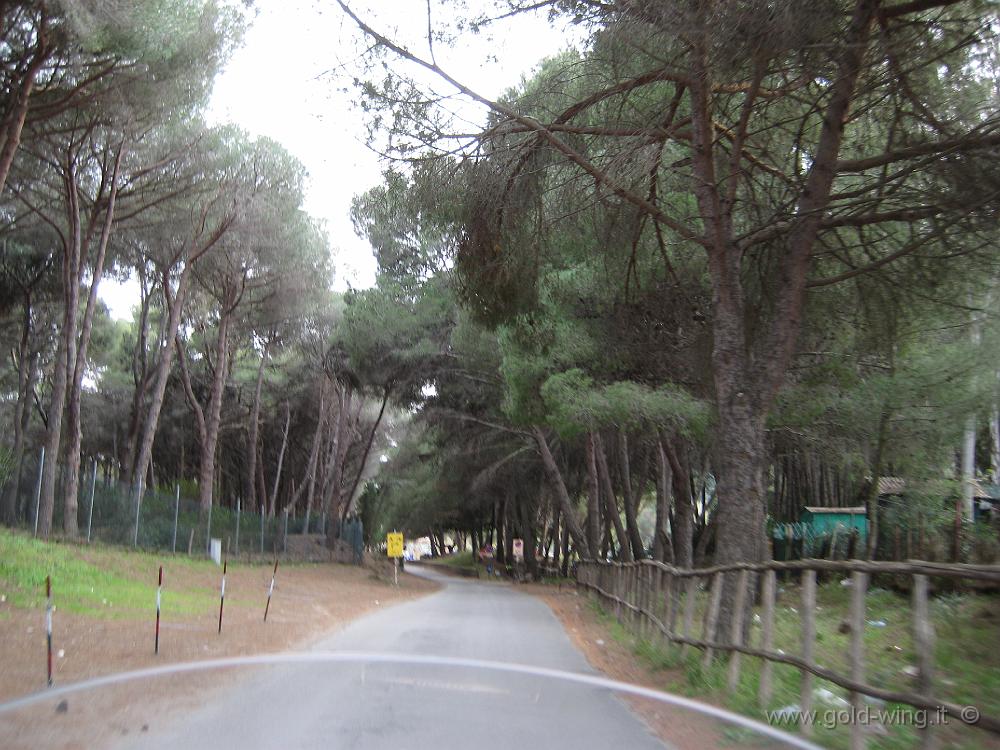 IMG_0102.JPG - Arrivo al campeggio Feniglia (Orbetello)