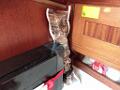 09-cucina-IMG_20250611_093822