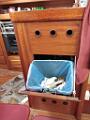 09-cucina-IMG_20250611_094151 (1)