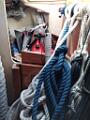 04-gavone-IMG_20250611_092952