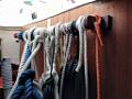 04-gavone-IMG_20250611_093001