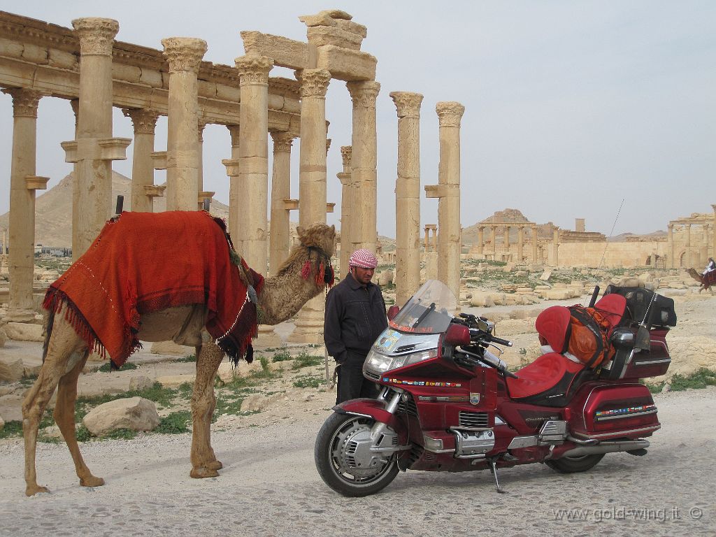 13-2010-466.JPG - Anno 13, 2010, km annui 38.515, tot. 654.553 - Siria, Palmyra. Mezzi di trasporto