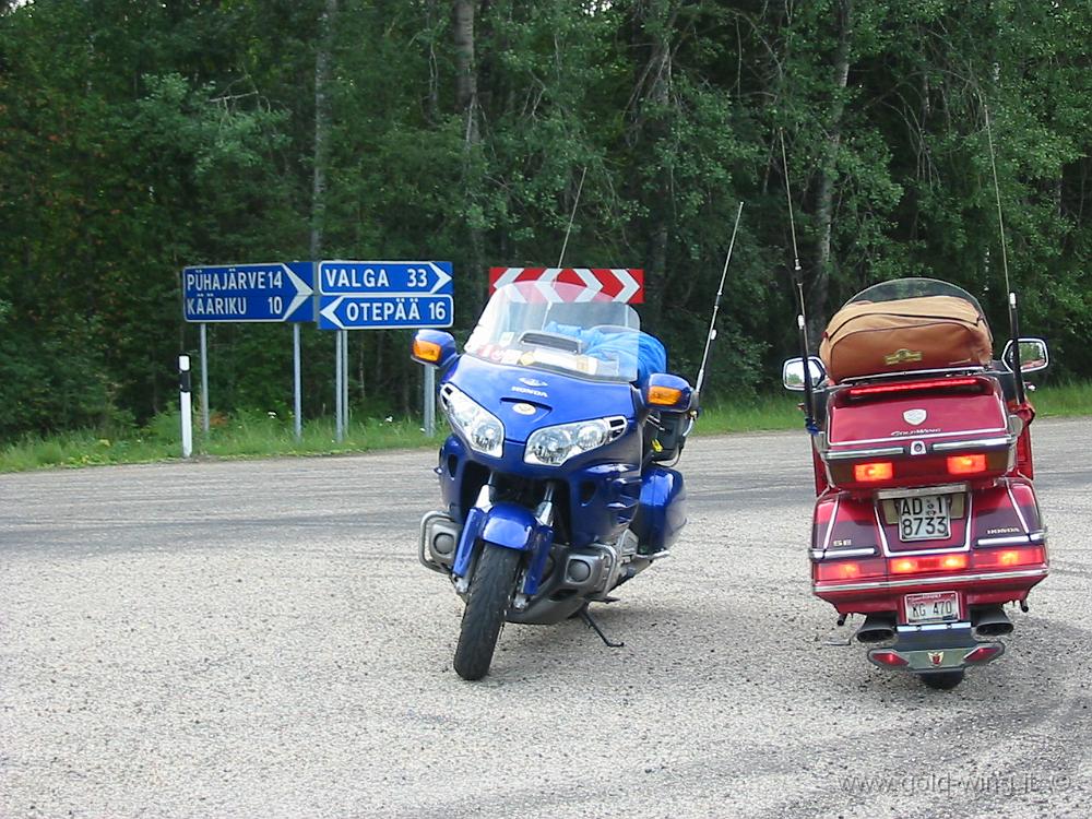 102-0291_IMG.JPG - Quale sarà la strada giusta?