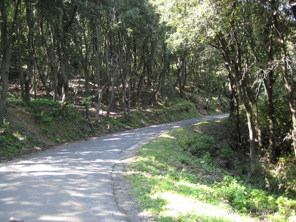 IMG_0069.JPG - Strada per Barcaggio