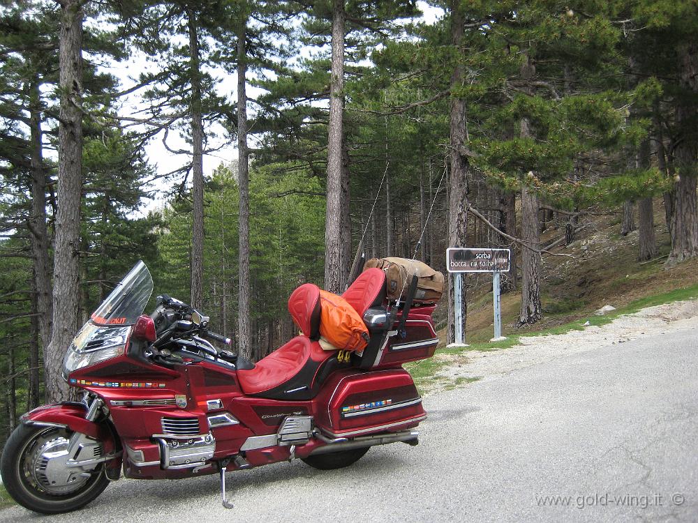 IMG_0736.JPG - Col de Sorba (m 1.311)