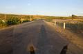 DSC01217