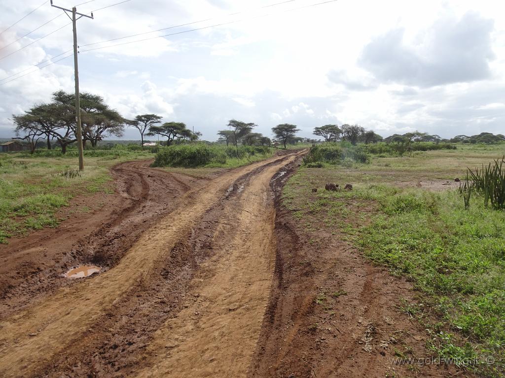 DSC02050.JPG - Strada per il Parco Nazionale di Amboseli: bivio