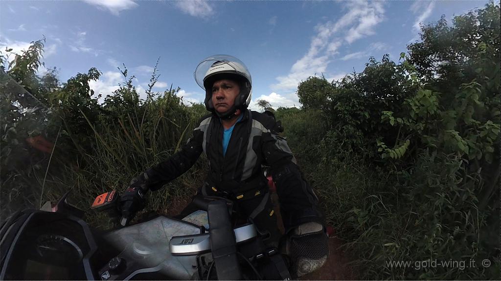 verso-campeggio.jpg - Percorro la pista nella savana, diretto al campeggio