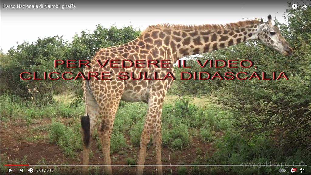 video03.jpg - Video:  https://youtu.be/xIOKTBc39MQ 