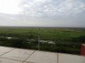 DSC01915