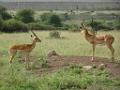DSC01964