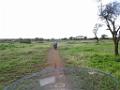 DSC02052