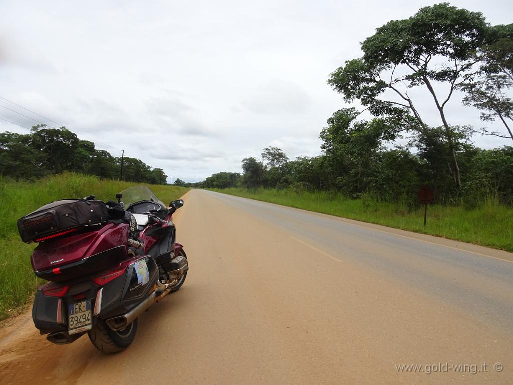 DSC02555.JPG - In questa foto si vede (sulla parte nera del baule posteriore) l'adesivo posteriore rosso riflettente obbligatorio in Zambia su tutti i veicoli (insieme a uno bianco analogo anteriore; me lo hanno imposto in frontiera). Piuttosto inutile su una Gold Wing, che di luci  e riflettenti ne ha già abbastanza