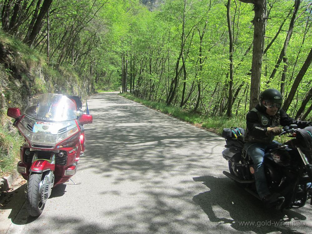 IMG_0145.JPG - Salita verso il passo Rest (m 1.052): Paolo, su Harley Davidson Night Train 1340