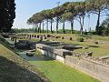 IMG_0581